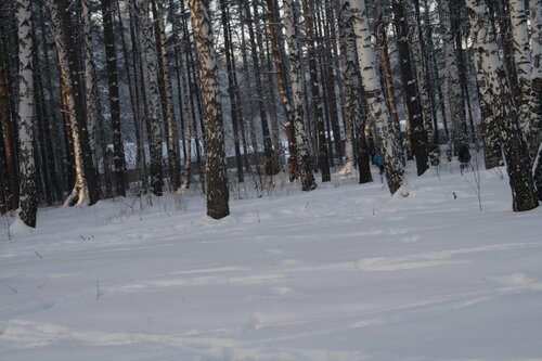 IMG_4559_r